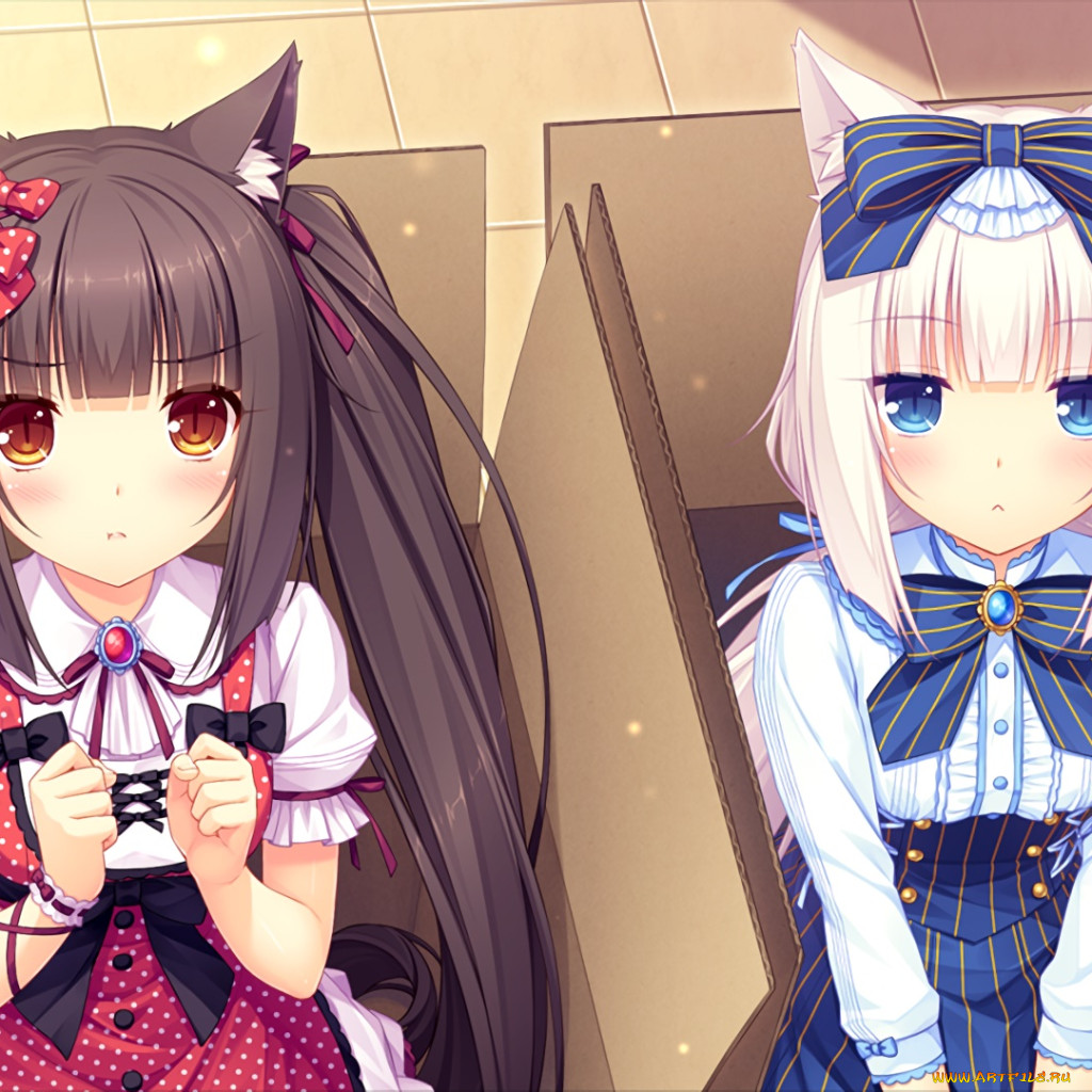 Обои Аниме Nekopara, обои для рабочего стола, фотографии аниме, nekopara,  девушки, взгляд, фон Обои для рабочего стола, скачать обои картинки  заставки на рабочий стол.